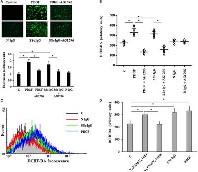 Agonistic Anti-PDGF Receptor Autoantibodies from Patients with Systemic Sclerosis Impact Human Pulmonary Artery Smooth Muscle Cells Function In Vitro